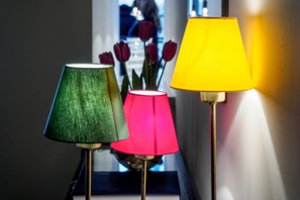 Žinia vartotojams: paaiškėjo „Ignitis“ elektros energijos visuomeninė kaina