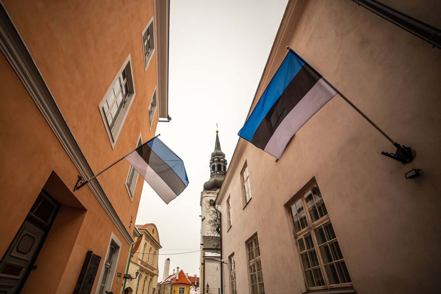 Estijos vėliava.<br>123rf.com asociatyvi nuotr.
