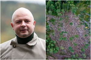 S. Gentvilas: plynieji kirtimai saugomose teritorijose bus atliekami žymiai rečiau