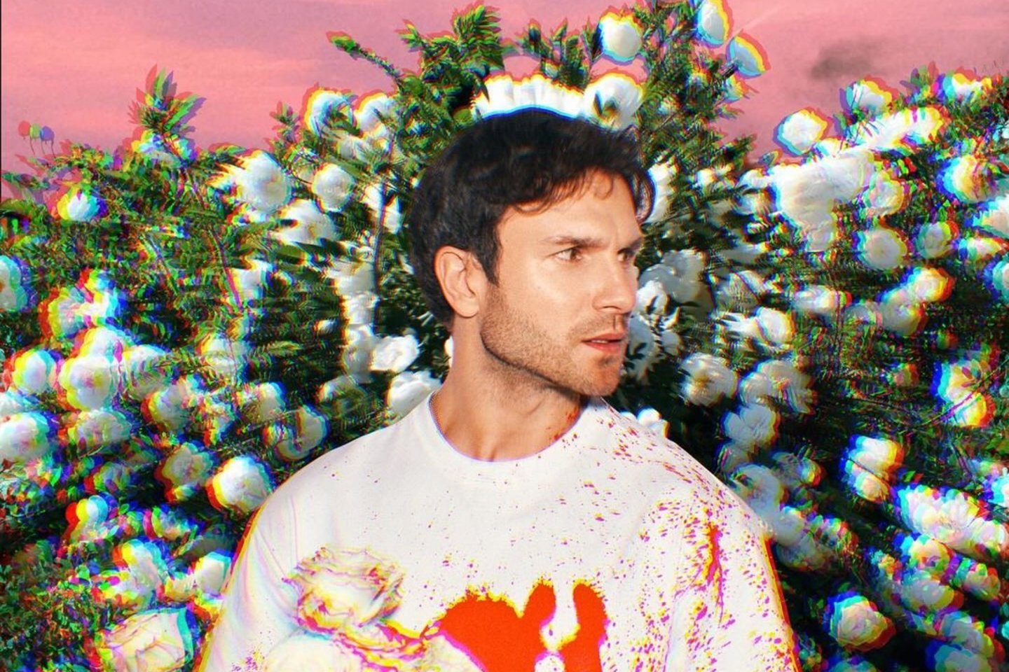 Vaidas Baumila.
