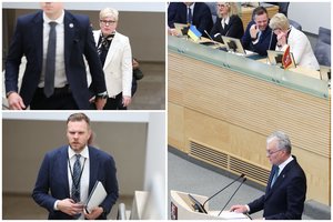 Vytautas Bruveris. Artėjant prezidento rinkimams – plintanti sumaištis, kuri skandina valdančiuosius