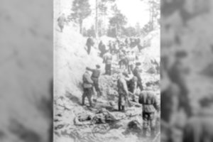 Pagrindiniu Antrojo pasaulinio karo architektu laikomas Hitleris, tačiau garsus istorikas mano kitaip