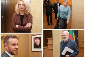 Koalicijos lyderiai susitiko V. Čmilytės-Nielsen kabinete: lėkštes klijavo, bet viena šukė dar liko