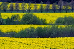 Teismas nustatė viešojo intereso pažeidimus parduodant žemės sklypą Mažeikiuose