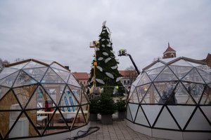 Kauno Rotušės aikštėje sklandantys angelai jau barsto plunksnas – Kalėdų eglė gražėja kiekvieną akimirką