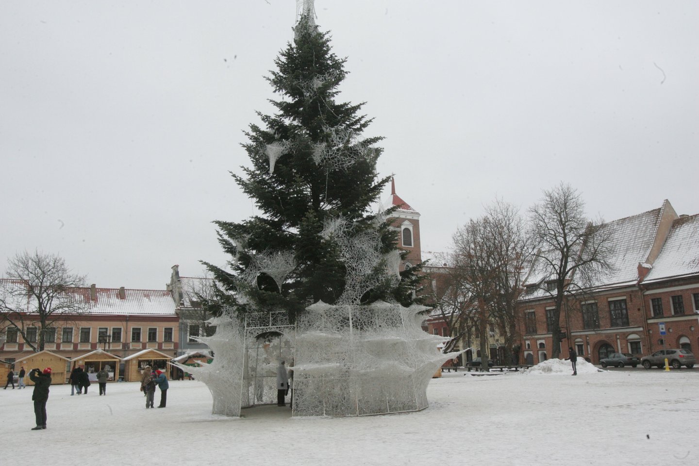 Kauno Kalėdų eglė 2009 m.<br>A.Barzdžiaus nuotr.