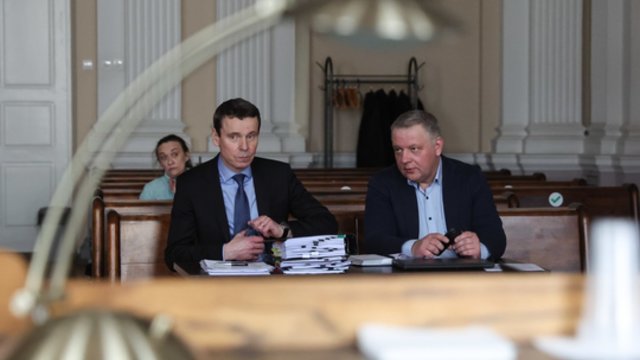 V. Čmilytė-Nielsen nesmerkia Liberalų sąjūdžio: partija smarkiai pasikeitusi nuo E. Masiulio laikų