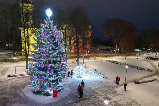  Biržų Kalėdų eglė.<br> Biržų rajono savivaldybės nuotr.