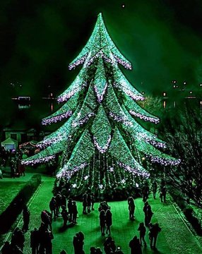  2018 metais tarp populiariausių Kalėdų eglių buvo ir Širvintų žaliaskarė.<br> lrytas.lt archyvo nuotr.