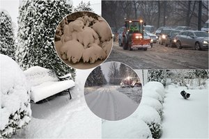 Lietuvoje siautusi pūga pridarė nemenkų bėdų: sniego danga siekė net 17 cm, lūžo medžiai ir jų šakos