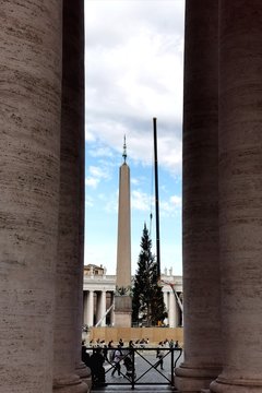  Kalėdų eglė Vatikane.<br> R. Danisevičiaus nuotr.