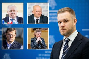 G. Landsbergis įspėja apie grėsmę Lietuvai: kas iš tiesų dėl to daroma?