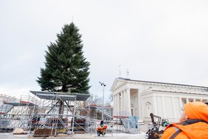 Didieji miestai ruošiasi Kalėdoms: kam užteks tūkstančio, o kam reikės ir 160 tūkst. eurų