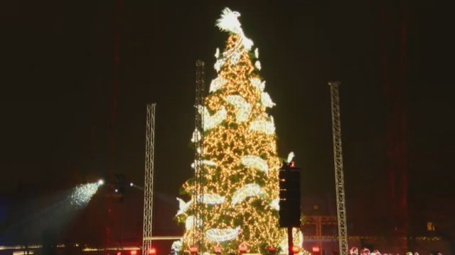 Pasigrožėkite: užfiksuota, kaip Kaunas įžiebė gražuolę Kalėdų eglę