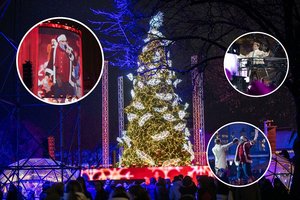 Pirmieji įspūdžiai po Kalėdų eglės įžiebimo Kaune: aibė pagyrimų ir reveransas menininkei