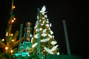 Intrigą sukūręs Kaunas įžiebė įspūdingą Kalėdų eglę: angeliška žaliaskare grožėjosi didžiulė minia