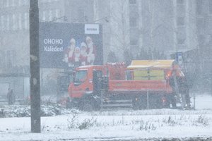 Žiemiški orai nesitrauks: laukia pūgos ir 12 laipsnių šaltis