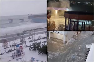 Sevastopolyje potvynis užliejo jūrų muziejų: žuvo 800 gyvūnų