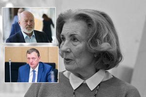 D. Teišerskytės gedi ir Seime kartu su ja dirbę politikai: prisiminė paskutinį susitikimą ir matytas ašaras