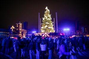 Kauno eglutės įžiebimas apkarto: „Patirtis siaubinga“