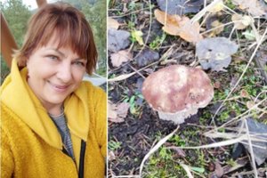Iki žiemos – vos kelios dienos, o grybų dar yra: iš miško grįžo su sveikutėliu baravyku