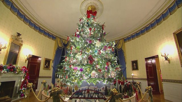 Baltieji rūmai skelbia Kalėdų laukimo pradžią: suspindo eglė su tūkstančiais lempučių
