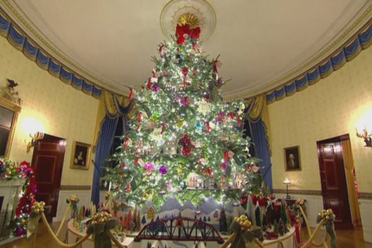 Baltieji rūmai skelbia Kalėdų laukimo pradžią: suspindo eglė su tūkstančiais lempučių