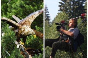 „Sengirė“ režisierius M. Survila – apie filmo kūrimą ir miškų nykimą: „Atsigręžti derėtų į didžiausią plėšrūną žemėje – žmogų“