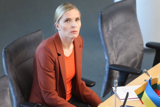 Seimas, Agnė Bilotaitė