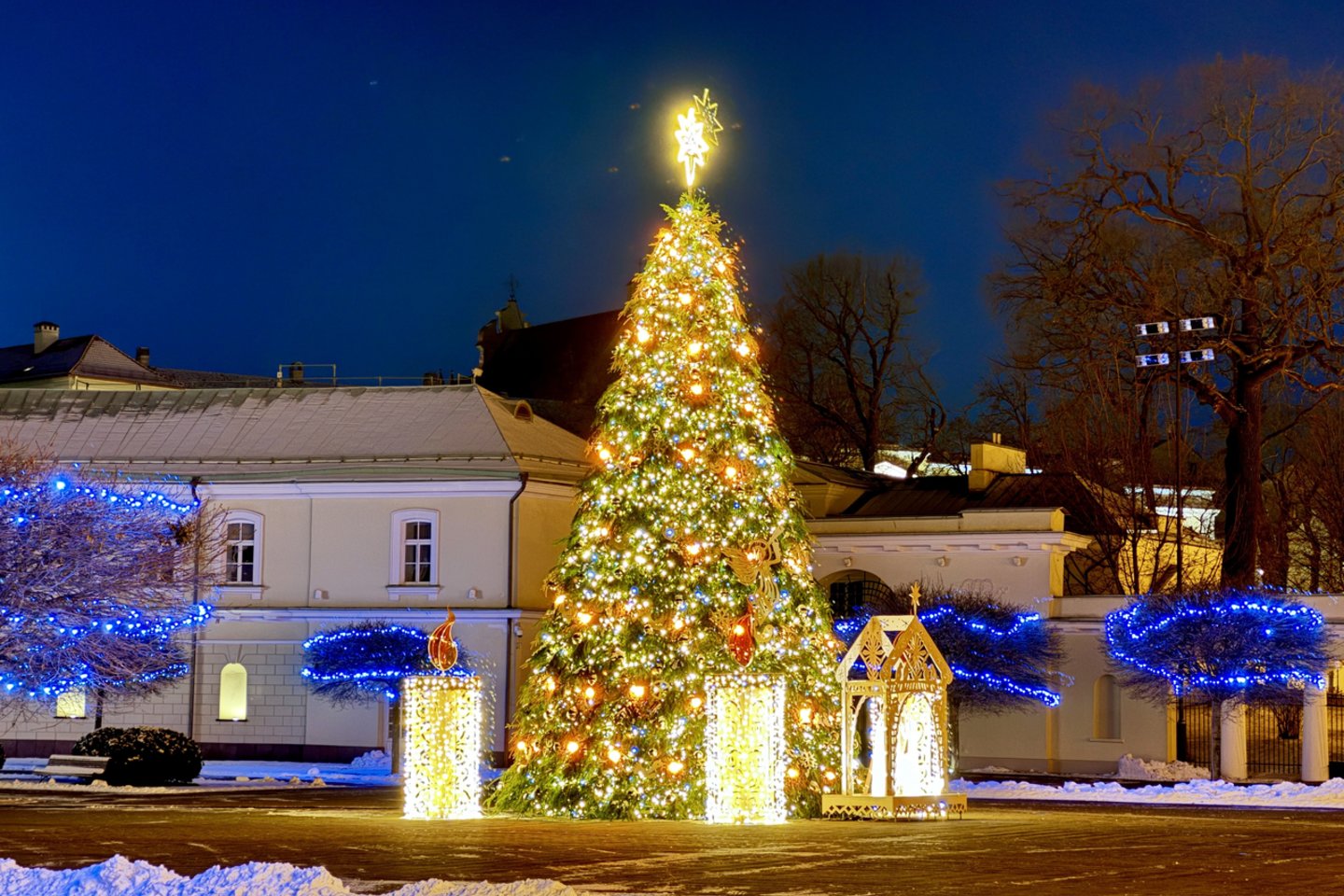 Prezidentūros rūmų kieme šįmet pirmą kartą puošiama Kalėdų eglė.<br> V. Ščiavinsko  nuotr.