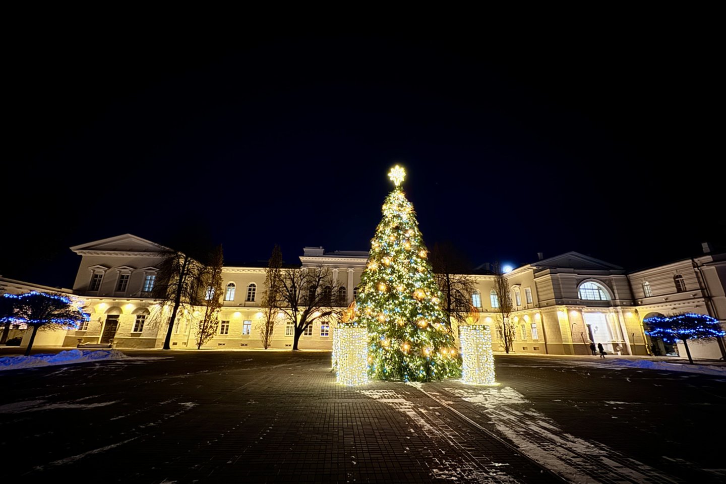 Prezidentūros rūmų kieme šįmet pirmą kartą puošiama Kalėdų eglė.<br> V. Ščiavinsko  nuotr.