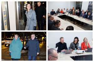 Liberalų sąjūdis nekels kandidato į šalies vadovo postą: pirmenybę teiks Seimo ir Europos Parlamento rinkimams