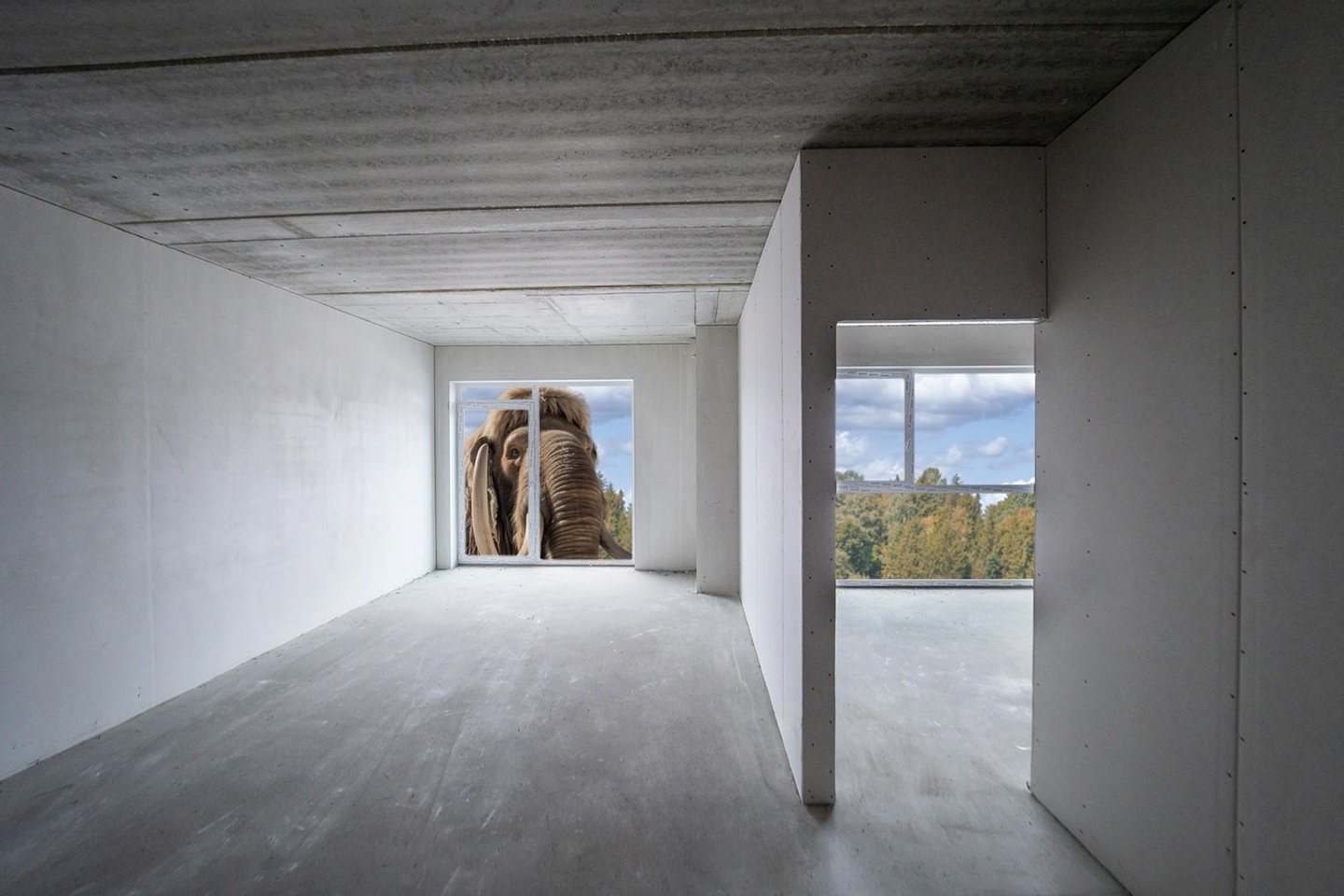 Dirbtinis intelektas padėjo sujungti šiuolaikinį Vilnių ir priešistorinius laikus bei parodė, kaip šiandien atrodytų sostinės Antakalnio mikrorajonas, jei jame vis dar gyventų mamutai.<br>Fotomenininko Ado Vasiliausko vizual.