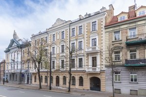 „Lietuvai jis labai reikalingas“: į sostinės Pylimo gatvę vilios unikalios tematikos muziejus 