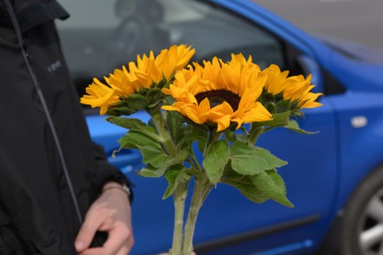 Šiemet daugiausia 1,2 proc. GPM bus pervesta Ukrainai kare prieš Rusiją padedančiai organizacijai „Blue and Yellow“.
