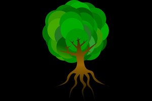 Pasirinkite vieną medžio dalį: štai ką tai sako apie jūsų asmenybę