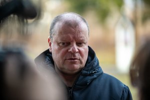 S. Skvernelis prakalbo apie patariamąjį referendumą dėl Lietuvos gynybos: nereikia bijoti žmonių nuomonės