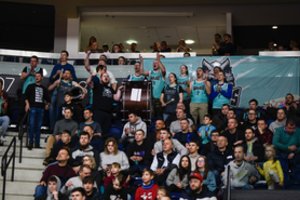 Netikėta? „Wolves“ namų rungtynės Europos taurėje – antros lankomiausios visoje lygoje