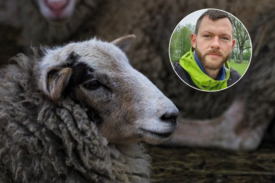 Avių augintojai planuoja stabdyti P. Šiaučiūno narystę LAAA.