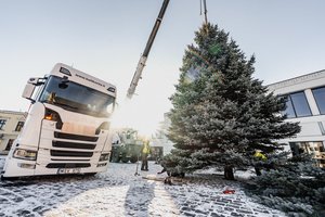 Klaipėda tūkstančiais švieselių įžiebs centrinę miesto eglę: viršūnėje nušvis ir simbolinė gerumo žvaigždė