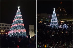 Akmenės krašto žaliaskarė – tarsi perlų karoliais pasidabinusi gražuolė