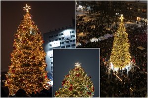 Panevėžyje įžiebta Kalėdų eglė nepalieka abejingų: „Tai – nuostabu, kažkas nepakartojamo“