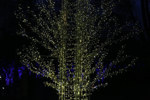 5 patarimai prieš perkant naujas kalėdines lemputes: padės ir neteršti, ir sutaupyti