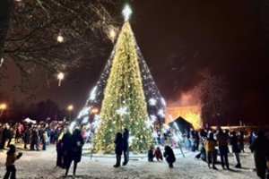 Tirpdo širdis! Trakus nušvietė puošnia skraiste apgaubta Kalėdų eglė