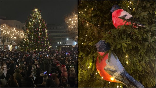 Minia alytiškių įžiebė Kalėdų eglę: žaliaskarę papuošė ryškiaspalvės sniegenos