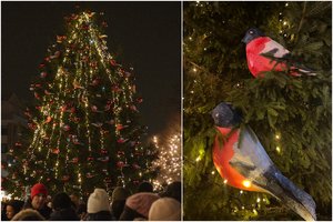 Įžiebta Kalėdų eglė Alytuje kausto dėmesį: tik įsižiūrėjus pastebi, kas puošia žaliaskarę