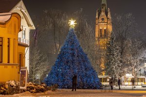 Palangoje – įspūdingas eglės įžiebimo šou su muzika ir šviesomis