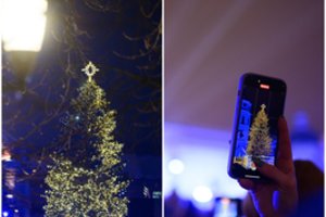 Pro akis nepraslydo Vilniaus Kalėdų eglės įžiebimo nesklandumai