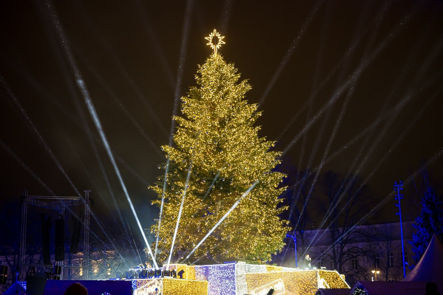  Vilniečiams pro akis nepraslydo, kad dalis lempučių ant eglės nesužibo ir viena išpuošto medžio dalis taip ir liko skendėti tamsoje.<br> S. Žiūros/Made in Vilnius nuotr.