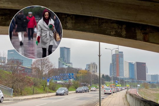 Kai kurių sostinės tiltų būklė kelia susirūpiną.